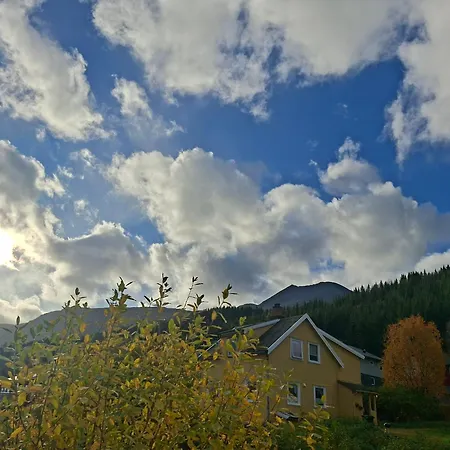Lyngen