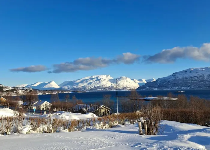 Lyngen *