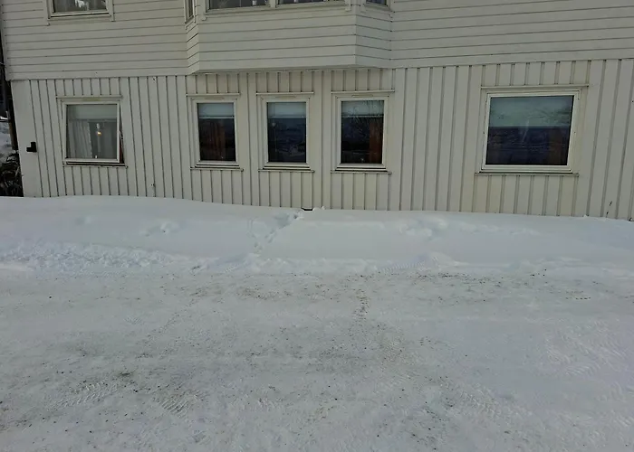 Lyngen