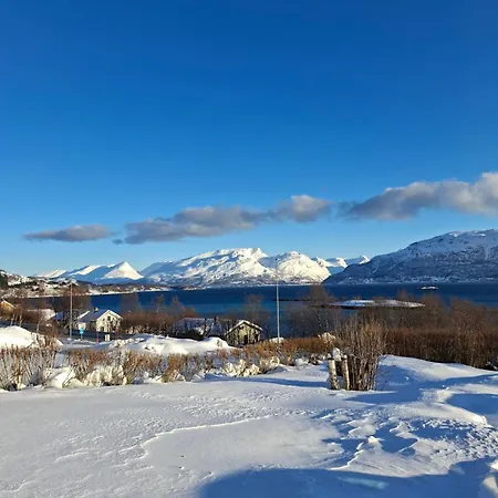 Lyngen *