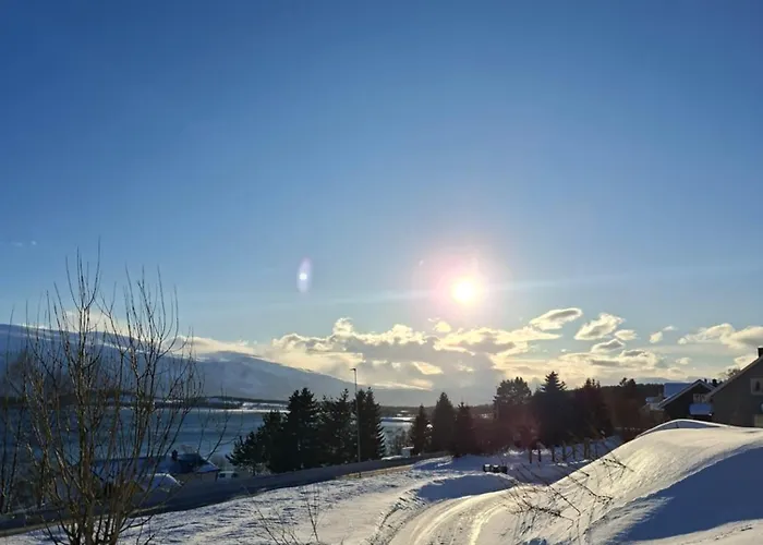 Lyngen Lejlighed Lyngseidet